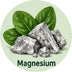 Magnesium